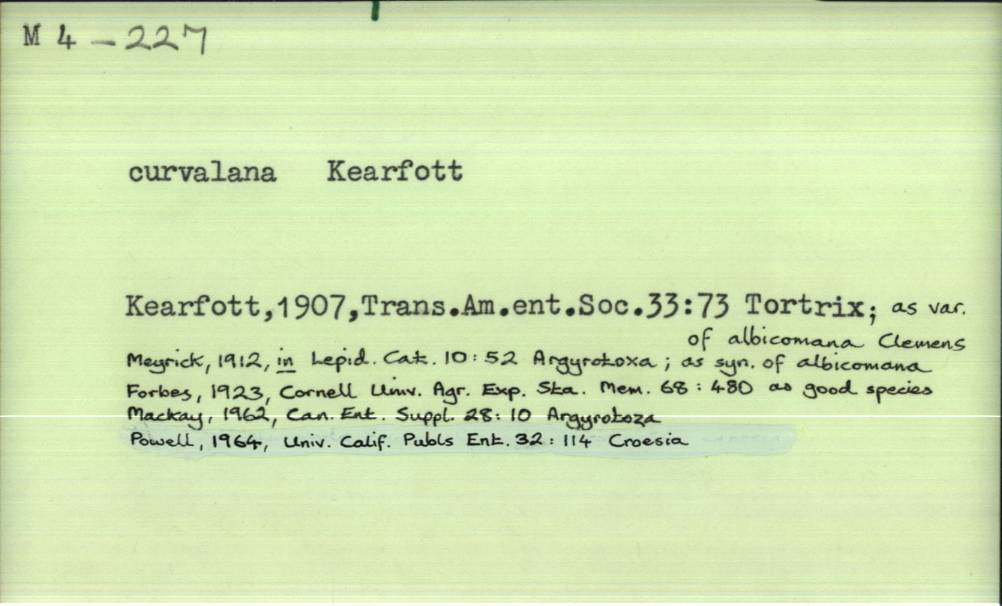 front of card